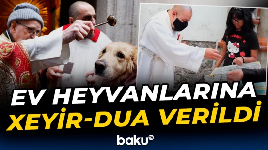 Meksikada ev heyvanlarına xeyir-dua verildi