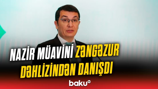 Nazir müavini Zəngəzur dəhlizindən danışdı