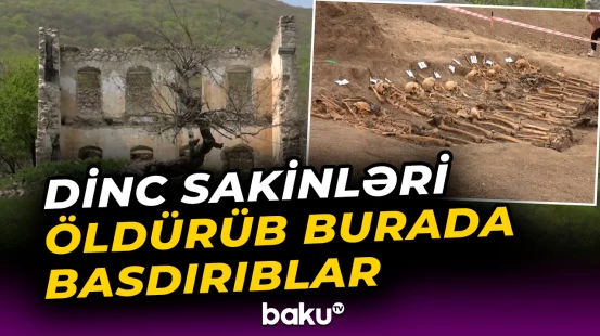 İnsanların işgəncə ilə öldürülməsi beynəlxalq hüquq normalarının pozuntusudur | Əli Nağıyev