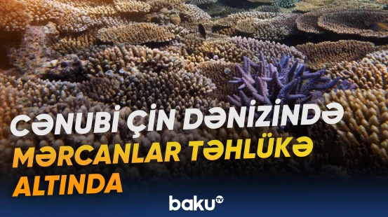 Bərpa üçün 262 layihəyə 3,14 milyard dollardan çox vəsait yatırılıb