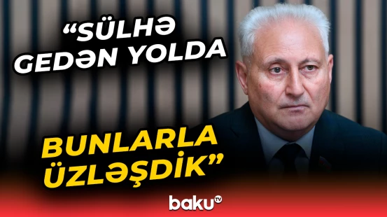 Millət vəkili beynəlxalq təşkilatların yaratdığı maneələrdən danışdı