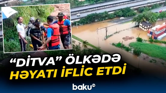 "Ditva" ölkədə həyatı iflic etdi