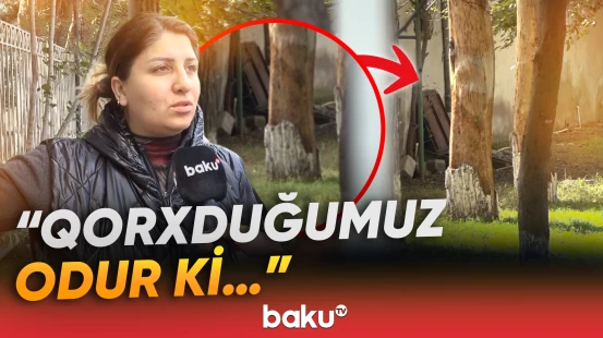 Zabrat qəsəbəsində kanalizasiya problemi nə vaxt həllini tapacaq?