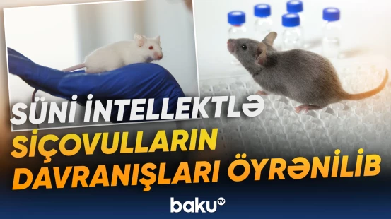 Depressiya və digər affektiv pozuntuların müalicəsi asanlaşa bilər