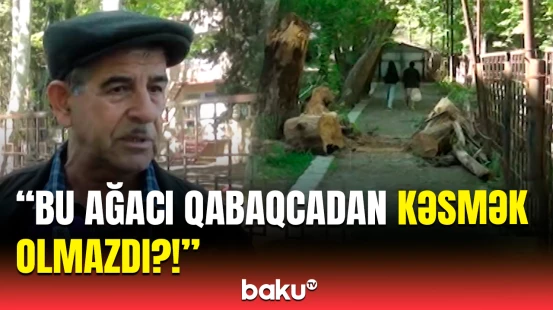 Yaxşı ki, uşaqlara heç nə olmadı | Yağışdan sonrakı güclü külək sakinlərə qorxu yaşatdı