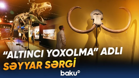 Dinozavrlar kimi digər nəsli kəsilmiş canlılar nümayiş etdirilir