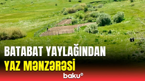 Şahbuzun Batabat yaylağından gözoxşayan təbiət görüntüləri