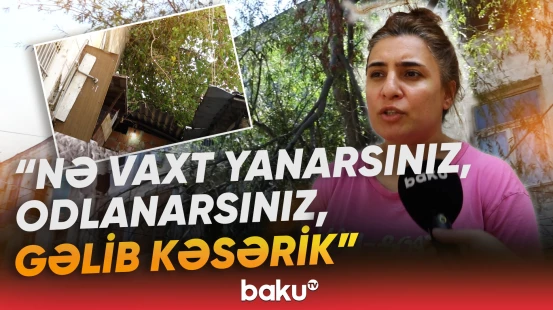 "Bizim həyətimizdə təhlükə çoxdur" | Evin damına ağac aşıb, günlərdir götürən yoxdur - Baku TV