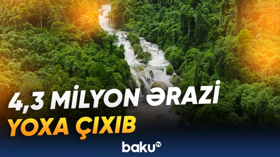 Tropik meşələrin azalması prosesində irəliləyiş var
