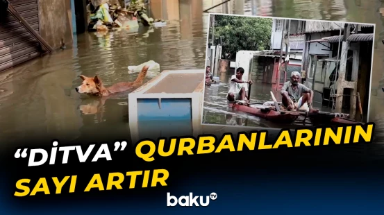 Təbii fəlakət nəticəsində 350 nəfər itkin düşdü