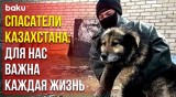 Как в Казахстане спасают от наводнения людей и животных