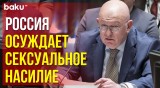 Василий Небензя жёстко раскритиковал доклад Прамилы Паттен по Украине