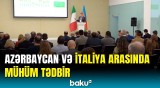 Azərbaycan İtaliya ilə ticarət əlaqələrini genişləndirir