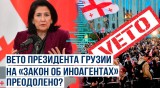 Вопрос вето передан на рассмотрение на пленарном заседании парламента Грузии