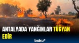 Türkiyədə meşə yanğınları | Yanğın baş verən bölgədən görüntülər