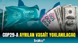 COP29-a hazırlıq davam edir | Ayrılan vəsait barədə yeni məlumatlar