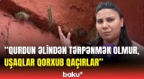 Mingəçevirdə binalar qurdlarla doldu | Sakinlər şikayət etdi