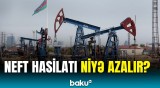 Manatın sabitliyi üçün neft bu qiymətə olmalıdır | Mərkəzi Bankdan açıqlama