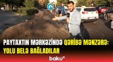 Yolu bu üsulla niyə bağlayıblar? | Sürücüləri çıxılmaz vəziyyətdə qoyan problem