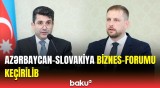 Azərbaycan-Slovakiya Biznes-Forumunda hansı məsələlər müzakirə edildi? | Detallar açıqlandı