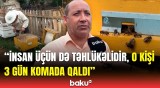 Arıçıların ən böyük düşməni | Belə şey görməmişdim, 1 dəqiqədə yüzlərləsini məhv edə bilər!