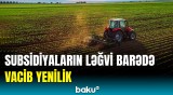 Bu keçid əlçatan enerjini təmin edəcək | SOCAR-ın vitse-prezidenti