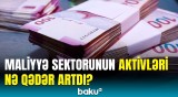 Bank sektorunun payı nə qədərdir? - 2024-cü ilin 1-ci yarısı üzrə hesabat