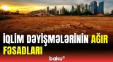 Bu, insanların sosial rifahına da mənfi təsir göstərir | Ombudsmandan xəbərdarlıq