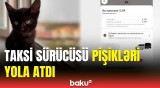 Taksi sürücüsü sifarişi yolun yarısında ləğv etdi | Əcəb edirəm