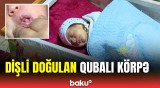 Bizim nəsildə belə bir şey olmayıb | Qubada qeyri-adi körpə doğuldu