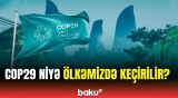 COP29 prezidenti məqsədləri açıqladı | Bu liderliyi növbəti illərdə də...