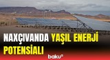 Naxçıvanda mediatur | Yaşıl enerji istehsalı üçün nə qədər ərazi ayrılıb?