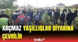 Xaçmazda iqlim dəyişikliyi ilə mübarizəyə töhfə | Minlərlə ağac əkildi