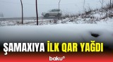 Şamaxı ağ örpəyə büründü | Yağan ilk qarın görüntüsü