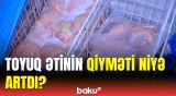 Məhsul bol, qiymət isə baha | Toyuq ətinin bahalaşma səbəbi açıqlandı