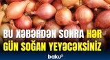 Alimlərdən soğanla bağlı heyrətə gətirən kəşf | Detallar açıqlandı