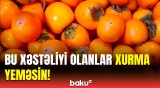 Hansı xəstəliyi olanlar xurmadan istifadə edərkən diqqətli olmalıdır?