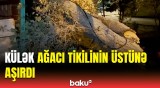 Sumqayıtda güclü külək fəsadlar törətdi