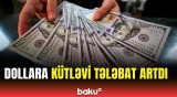 Dollara tələbatın kəskin artmasının səbəbi | İqtisadçı açıqladı