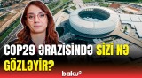 COP29 ərazisində Sizi nə gözləyir?