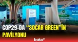 Azərbaycan və SOCAR-ın 2050-ci ilədək hədəfləri | Detallar açıqlandı