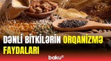 Dənli bitkilər görün bizi nələrdən qoruya bilər | Diyetoloqdan vacib açıqlama