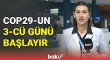 Əməkdaşımız COP29-la bağlı mühüm məlumatları çatdırır