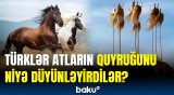 Türk döyüşçülərin sirri ortaya çıxdı | Atın quyruğu necə döyüş bayrağına çevrildi?