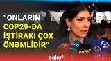 Sahibkarlar iqlim dəyişmələri ilə bağlı necə töhfə verə bilərlər? - Nigar Arpadarai açıqladı