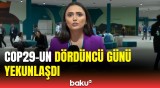 COP29-un dördüncü günü nələr baş verdi? | Əməkdaşımız ən son məlumatları çatdırır