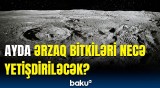 Ayda salınan bostanın Yer planetinə hansı faydaları olacaq?