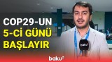 COP29-un beşinci günündə nələr müzakirə ediləcək?