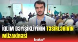 COP29-un 7-ci günündə panel müzakirələr davam edir