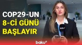 COP29-un səkkizinci günündə hansı məsələlər müzakirə ediləcək?